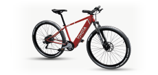 T-Bike